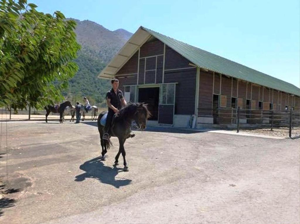 Lefkoritis Resort Askifou Sfakia Petrés Exteriör bild