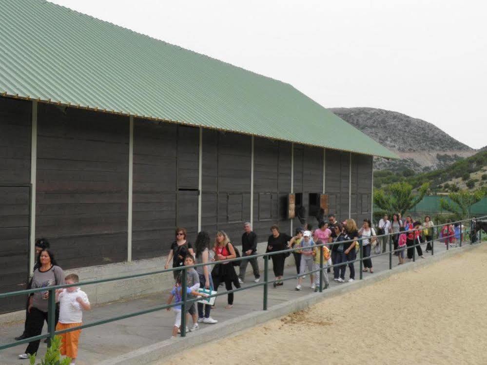 Lefkoritis Resort Askifou Sfakia Petrés Exteriör bild